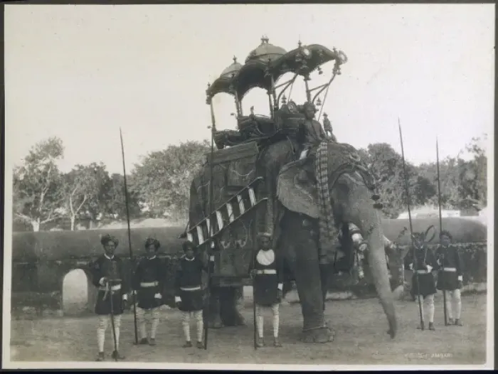 Framed Print : Elephant Transport C1920 Framed Print : Elephant Transport C1920
