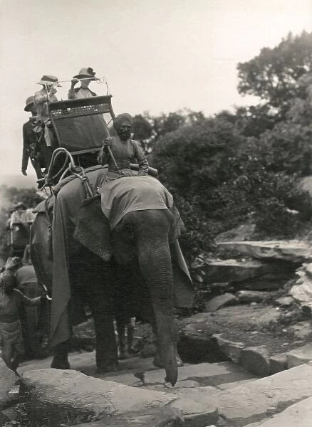 Elephant Transport C1920