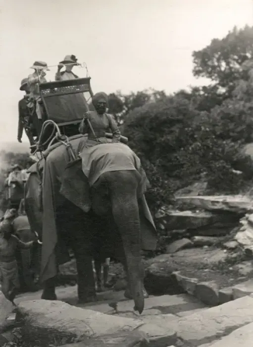 Framed Print : Elephant Transport C1920
