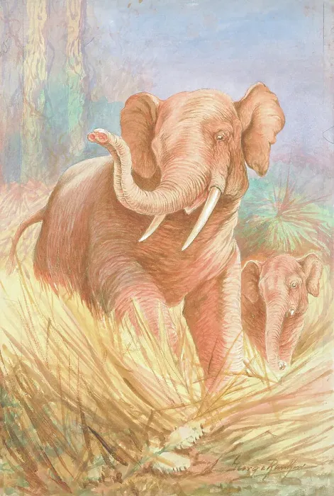 Framed Print : Elephants by George Rankin Framed Print : Elephants by George Rankin