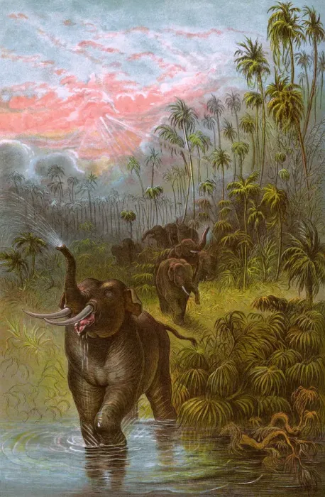 Framed Print : ELEPHANTS / GRISET 1889 Framed Print : ELEPHANTS / GRISET 1889