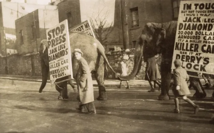 Framed Print : Elephants and sandwich boards - Jack Legs Diamond Framed Print : Elephants and sandwich boards - Jack Legs Diamond