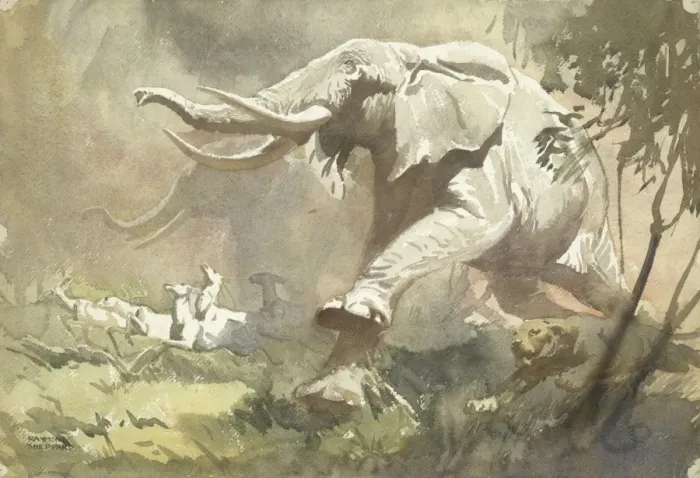 Framed Print : Elephants Stampeding Framed Print : Elephants Stampeding