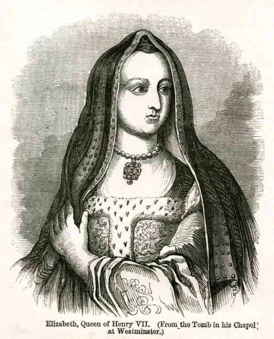Framed Print : Elizabeth of York wife of Henry VII Framed Print : Elizabeth of York wife of Henry VII