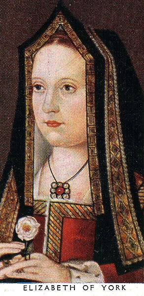 Elizabeth of York (Wife of Henry Vii, Mother of Henry Viii)