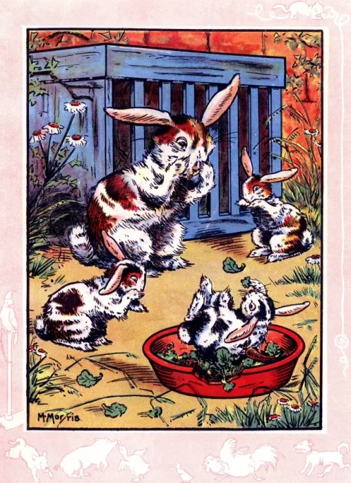 Framed Print : Elsies bunny rabbits Framed Print : Elsies bunny rabbits