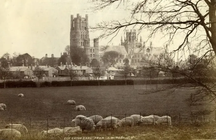 Framed Print : Ely Cathedral, Ely, Cambridgeshire Framed Print : Ely Cathedral, Ely, Cambridgeshire