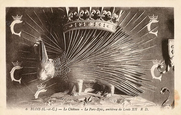 Emblem of Louis XII. A porcupine - the emblem of Louis XII at the Castle in Blois, France