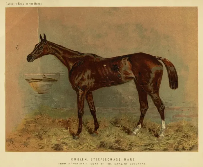 Framed Print : Emblem (Racehorse) Framed Print : Emblem (Racehorse)