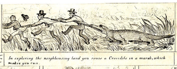Emigration - Crocodile in the Marsh