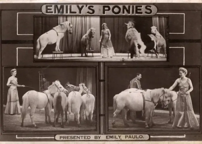 Framed Print : Emily Paulo and her Performing Ponies Framed Print : Emily Paulo and her Performing Ponies
