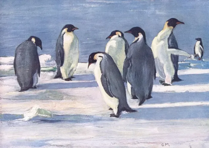 Framed Print : Emperor Penguins Framed Print : Emperor Penguins