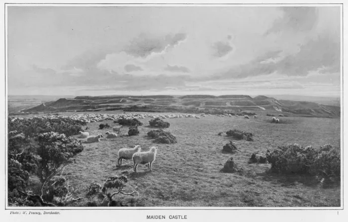 Framed Print : ENGLAND / ARCHAEOLOGY Framed Print : ENGLAND / ARCHAEOLOGY