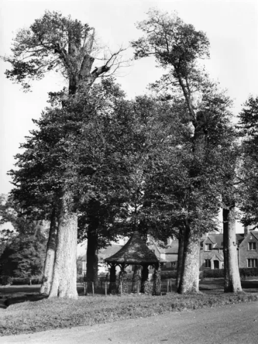 Framed Print : England / Chenies Framed Print : England / Chenies