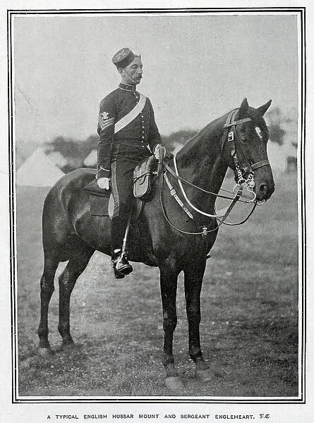 English Hussar and Horse