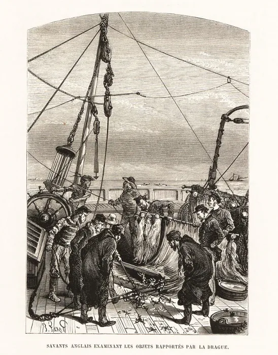 Framed Print : English sailors examining objects dredged from the sea Framed Print : English sailors examining objects dredged from the sea