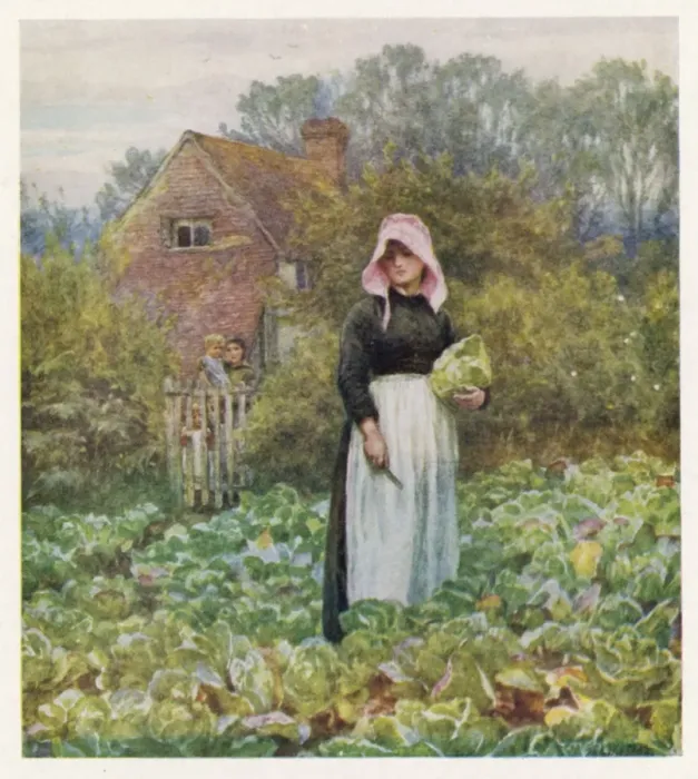 Framed Print : English Veg Garden C1900 Framed Print : English Veg Garden C1900