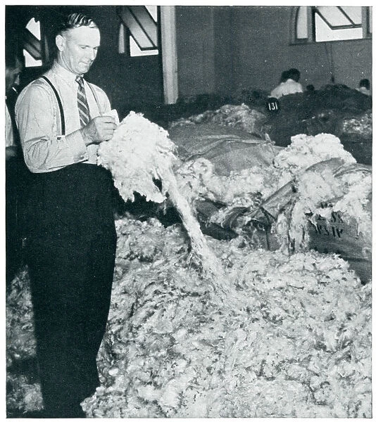Entire wool clip from Australia bound for Britain 1939