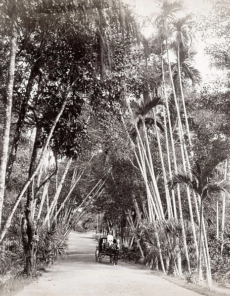 Entrance to Cairnhill, Singapore, horse and carriage