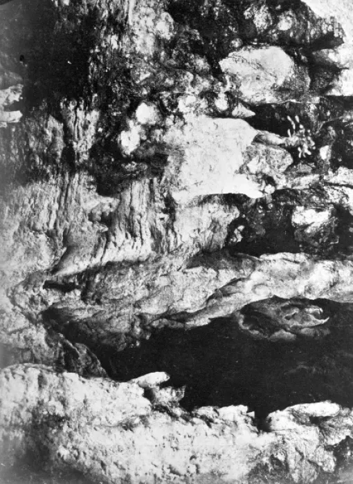 Framed Print : Entrance to a cave in Hamilton, Bermuda 1873 Framed Print : Entrance to a cave in Hamilton, Bermuda 1873