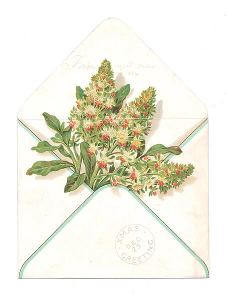 Envelope containing flowers on a Christmas card