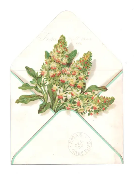 Framed Print : Envelope containing flowers on a Christmas card Framed Print : Envelope containing flowers on a Christmas card