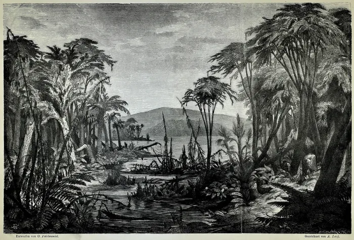 Framed Print : Environs of Radnitz during the Coal Formation