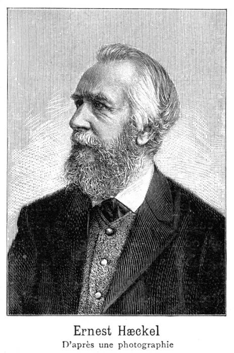 Framed Print : Ernst Haeckel - 3 Framed Print : Ernst Haeckel - 3
