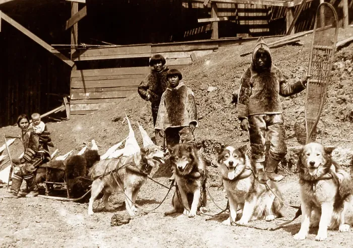 Framed Print : Eskimo dog team St. Louis World's Fair USA in 1904 Framed Print : Eskimo dog team St. Louis World's Fair USA in 1904