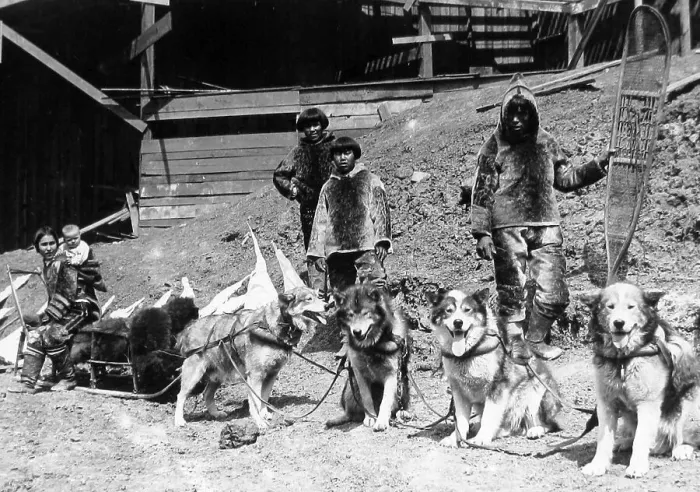 Framed Print : Eskimo dog team St. Louis World's Fair USA in 1904 Framed Print : Eskimo dog team St. Louis World's Fair USA in 1904