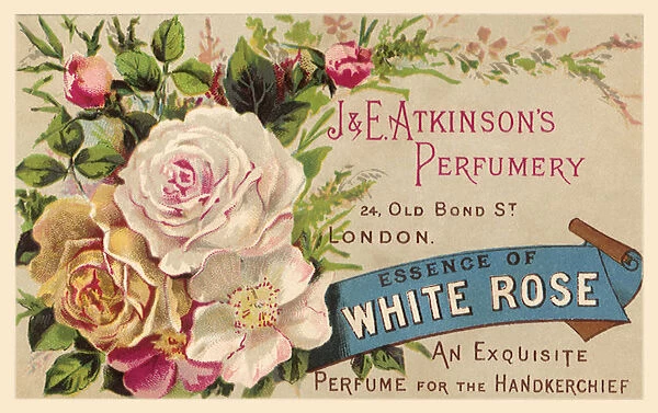 Essence of White Rose Date: 1880