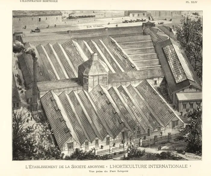 Framed Print : Establishment of the International Horticultural Framed Print : Establishment of the International Horticultural