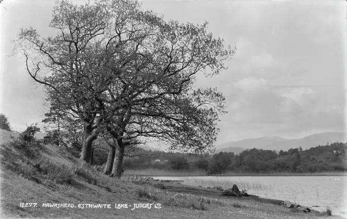 Framed Print : Esthwaite Lake in Hawkshead Framed Print : Esthwaite Lake in Hawkshead