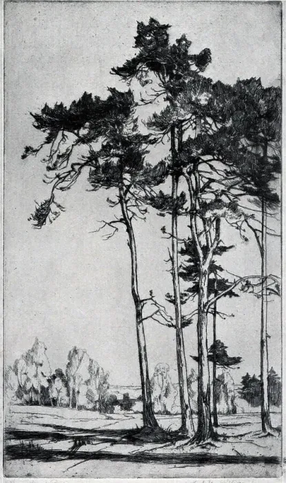 Framed Print : Etching. An etching showing a small cluster of tall trees dominating the foreground Framed Print : Etching. An etching showing a small cluster of tall trees dominating the foreground