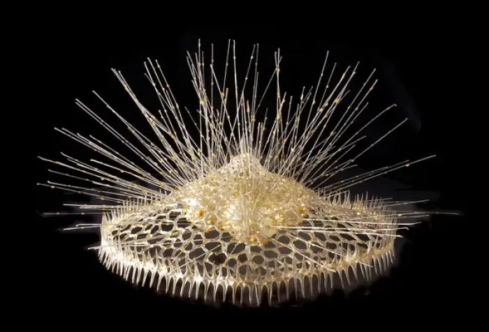Framed Print : Eucecryphalus schultzei, radiolarian Framed Print : Eucecryphalus schultzei, radiolarian