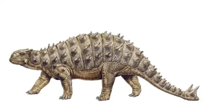 Framed Print : Euoplocephalus