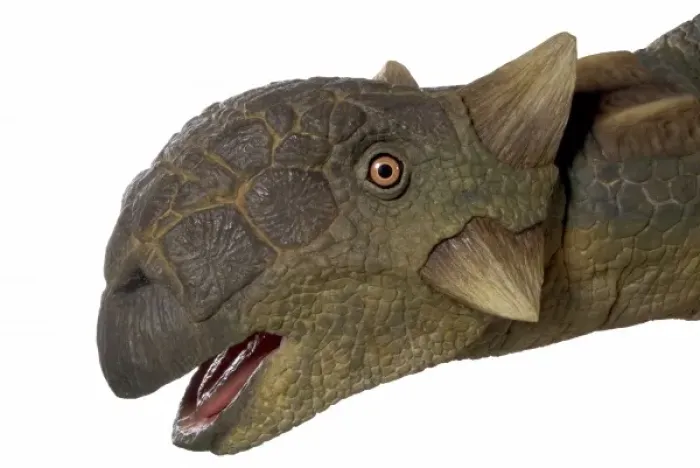 Framed Print : Euoplocephalus Framed Print : Euoplocephalus