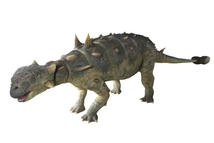 Framed Print : Euoplocephalus Framed Print : Euoplocephalus