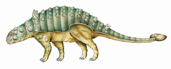 Framed Print : Euoplocephalus Framed Print : Euoplocephalus