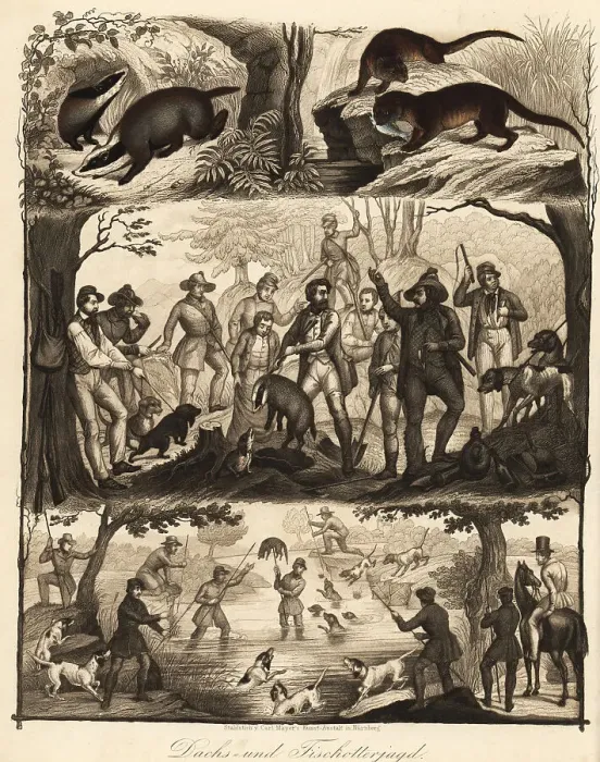 Framed Print : European hunting parties for badger and otter, 19th century Framed Print : European hunting parties for badger and otter, 19th century