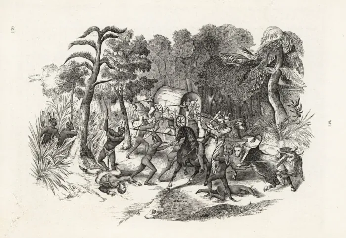 Framed Print : European plant hunters attacked by South African Framed Print : European plant hunters attacked by South African