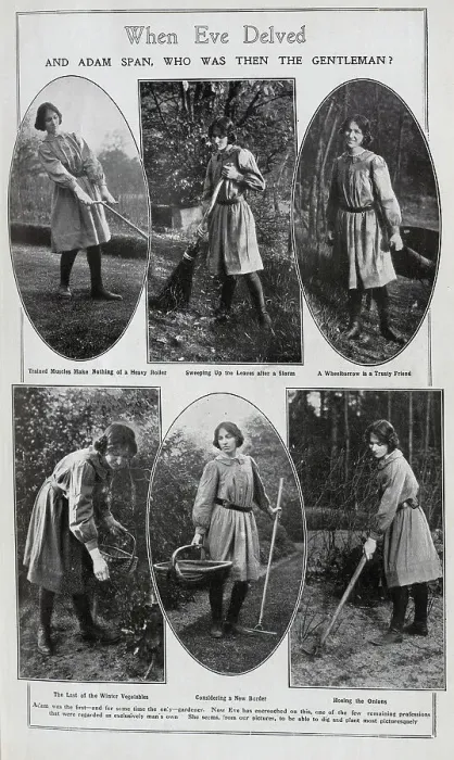 Framed Print : When Eve Delved and Adam span, who then was the gentleman?'Scenic outdoor photographs of woman gardening. With captions, Trained Muscles Make Nothing of a Heavy Roller, Sweeping Up the Leaves after a Storm, A Wheelbarrow is a Trusty Friend Framed Print : When Eve Delved and Adam span, who then was the gentleman?'Scenic outdoor photographs of woman gardening. With captions, Trained Muscles Make Nothing of a Heavy Roller, Sweeping Up the Leaves after a Storm, A Wheelbarrow is a Trusty Friend