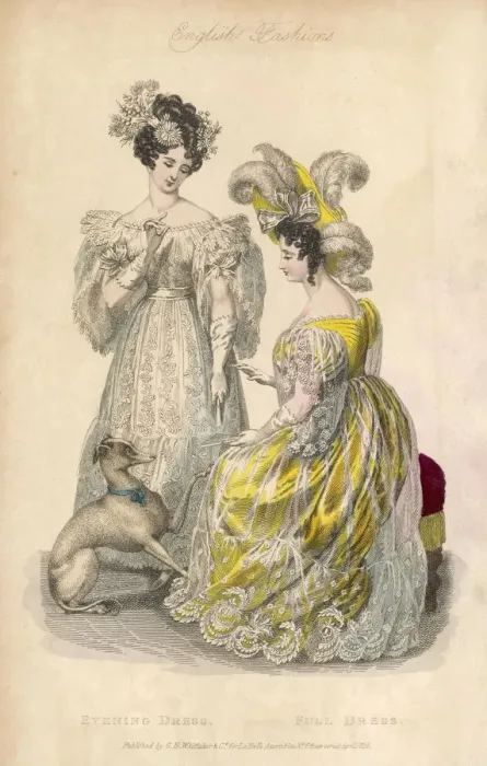 Framed Print : EVENING DRESS 1830 Framed Print : EVENING DRESS 1830