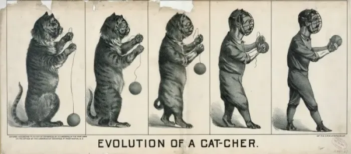Framed Print : Evolution of a cat-cher Framed Print : Evolution of a cat-cher