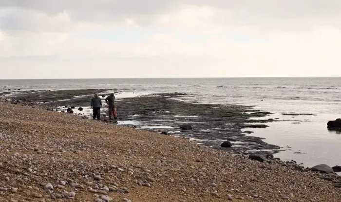 Framed Print : Excavating at Charmouth Framed Print : Excavating at Charmouth