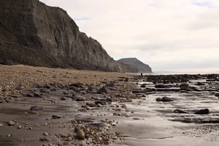 Framed Print : Excavating at Charmouth Framed Print : Excavating at Charmouth