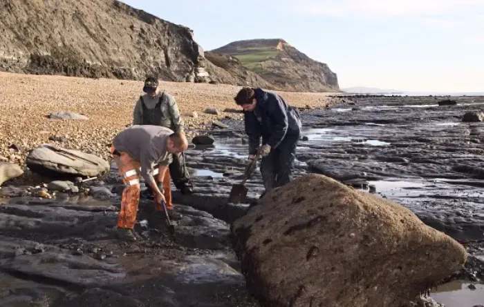 Framed Print : Excavating at Charmouth Framed Print : Excavating at Charmouth