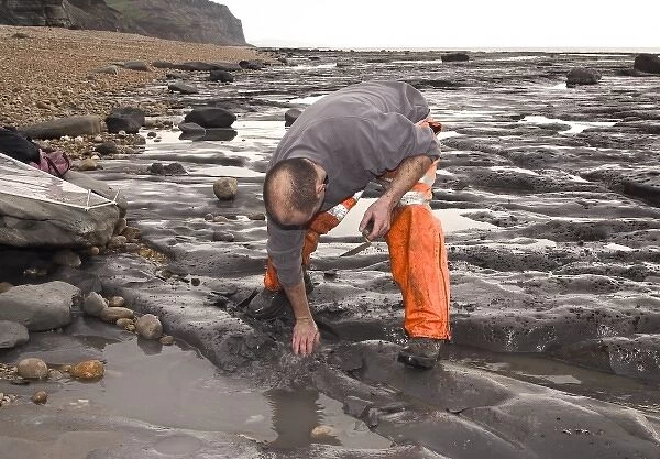 Excavating at Charmouth