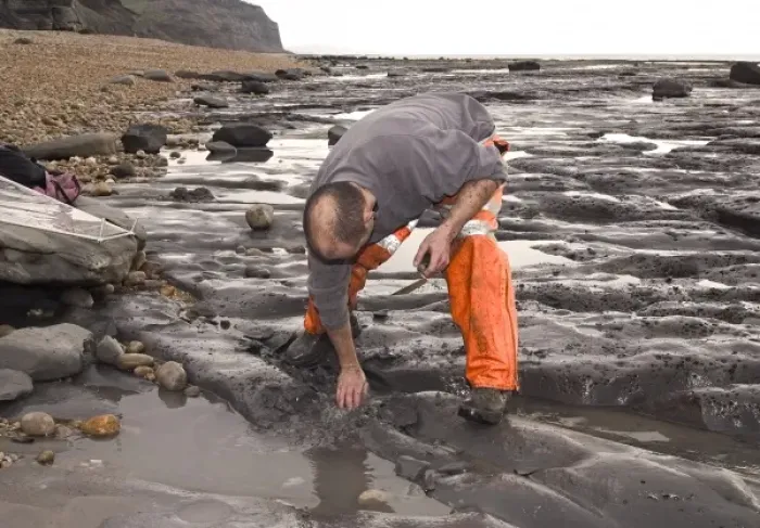Framed Print : Excavating at Charmouth Framed Print : Excavating at Charmouth