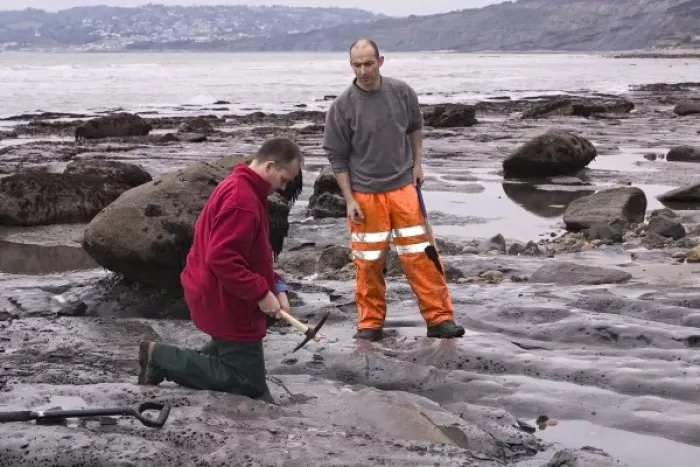 Framed Print : Excavating at Charmouth Framed Print : Excavating at Charmouth